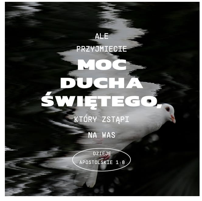 Zrzut ekranu 2021-06-28 o 17.27.40.png
